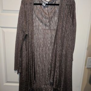 Sheer sparkly sweater